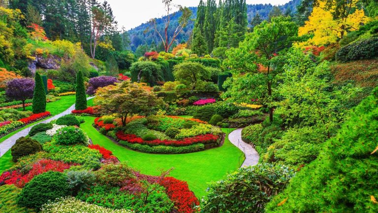 Organic Gardening: A Sustainable Approach to Growing Your Own Food